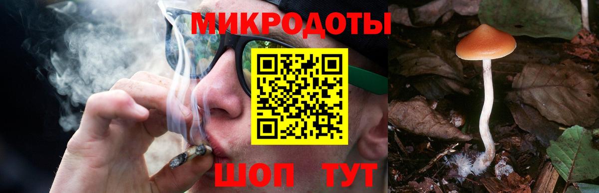 Галлюциногенные грибы GOLDEN TEACHER Мценск